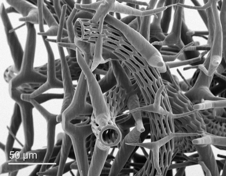 Organic cell scaffold design with vascular channels. The pores of the channels are smaller than a cell, preventing cell migration into the vascular network while allowing nutrient diffusion of the culture medium, promoting efficient nutrient supply.