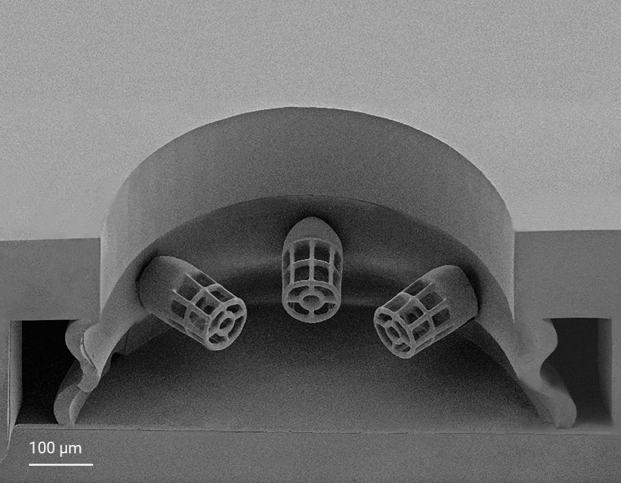 Heart-on-a-chip platform fabricated by PDMS soft lithography and 3D printing with Two-Photon Polymerization. The SEM image shows the cross-section of the circular seeding well with a surrounding microfluidic channel and three tailor-made microcages that function as cell adhesion sites for the 3D freestanding cardiac microtissue.