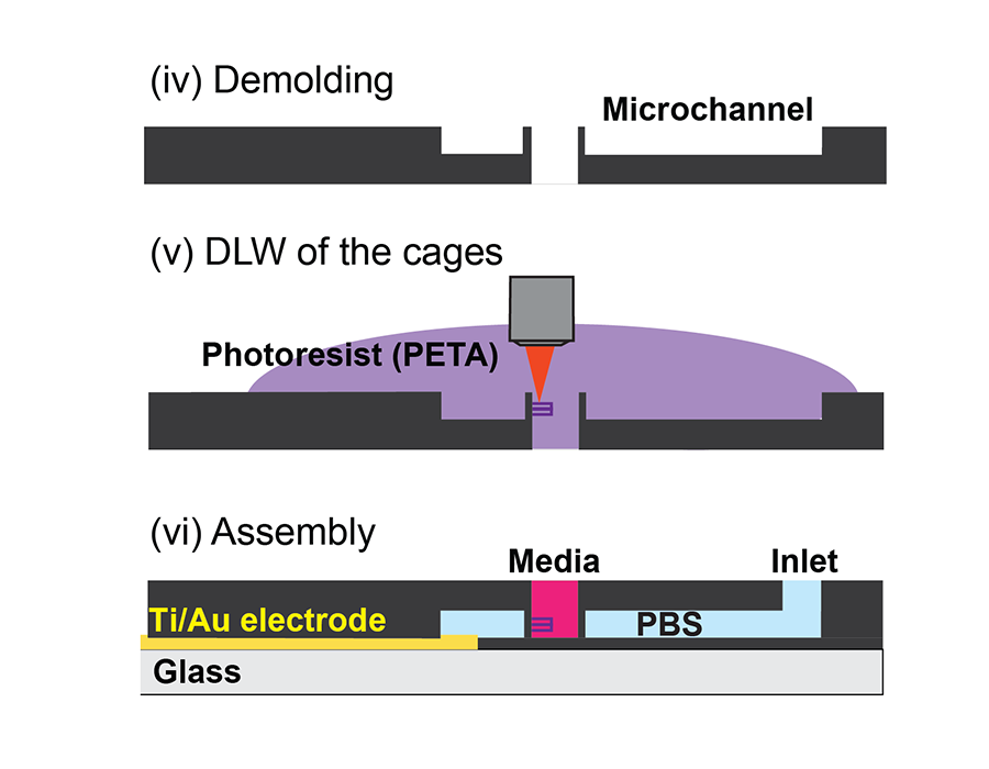 Fabrication scheme of the heart-on-a-chip platform part 2