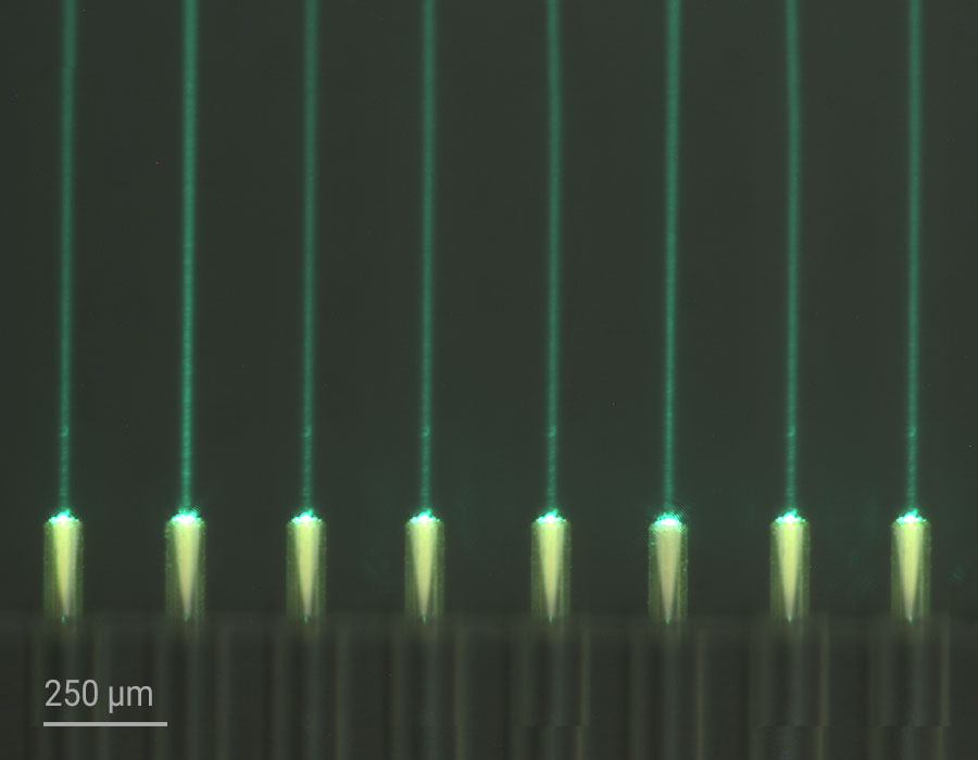 Mikroskopie-Aufnahme von optischen Projektionen der Linsen eines Faserarrays