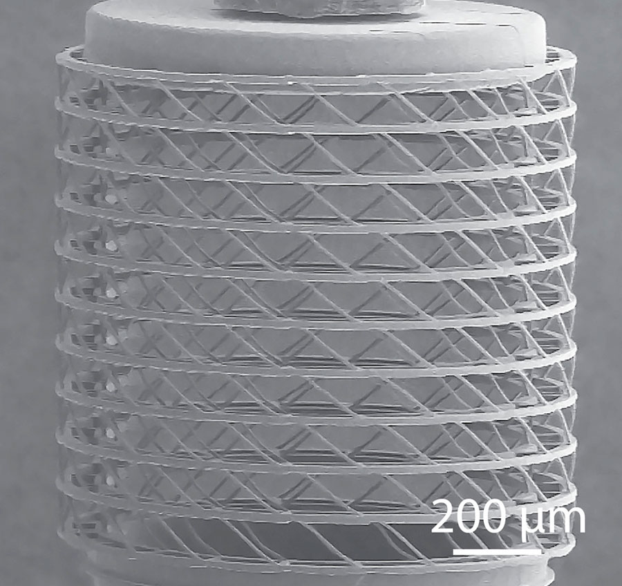 The image shows the 2PP-fabricated hollow cylindrical cell scaffold. 