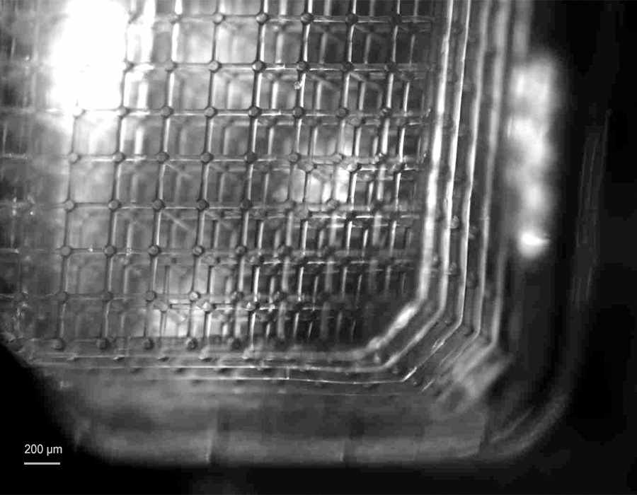 Close-up image of the 3D-printed soft microfluidic capillary lattice made of a non-swelling hydrogel material