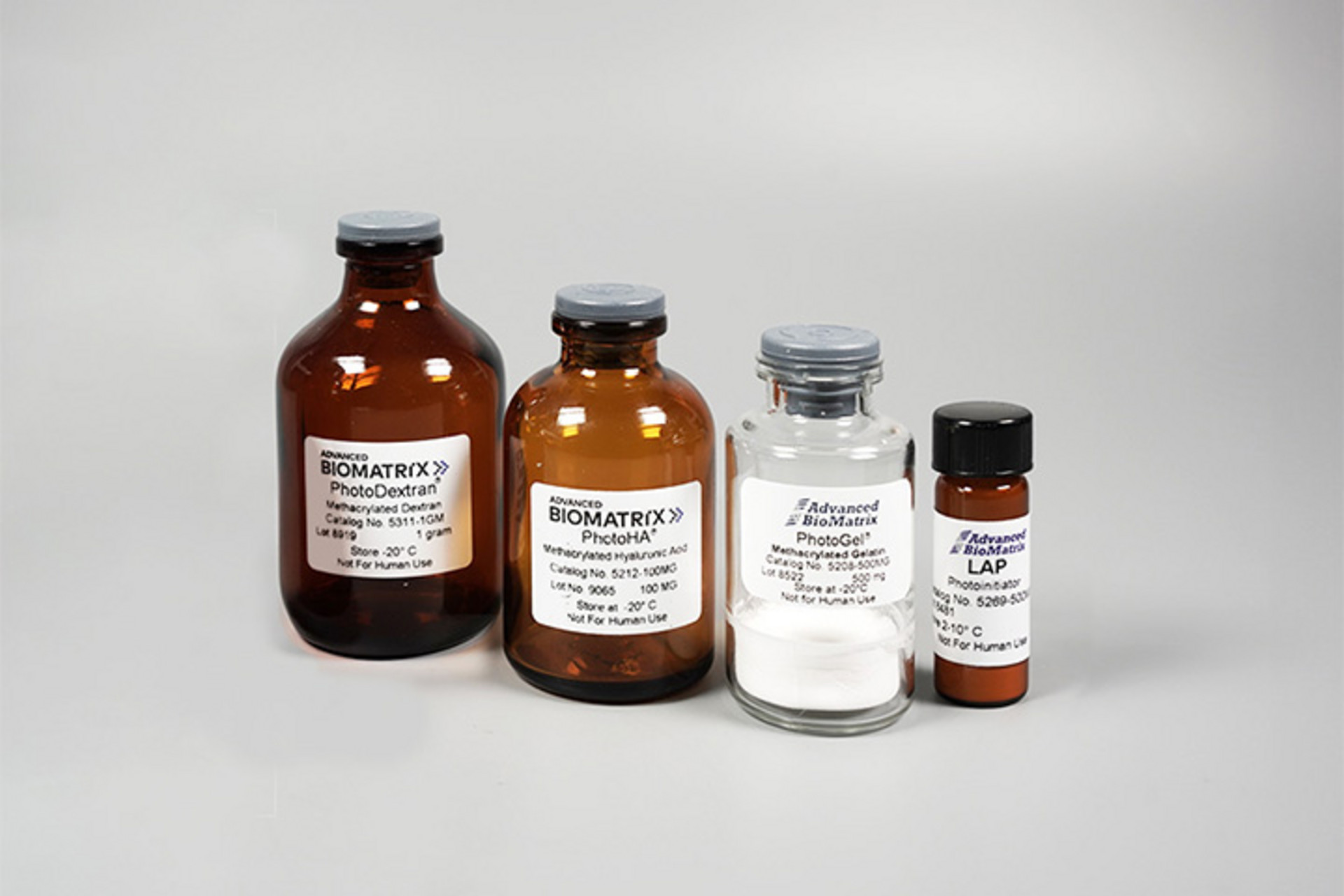 Explore Advanced BioMatrix bioresins for 2PP-based 3D bioprinting
