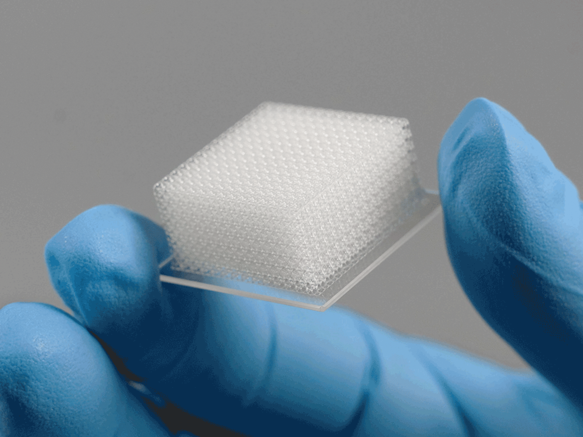 Quantum X bioとLF Print Setで製作された3Dプリント細胞スキャフォールド・マトリックス