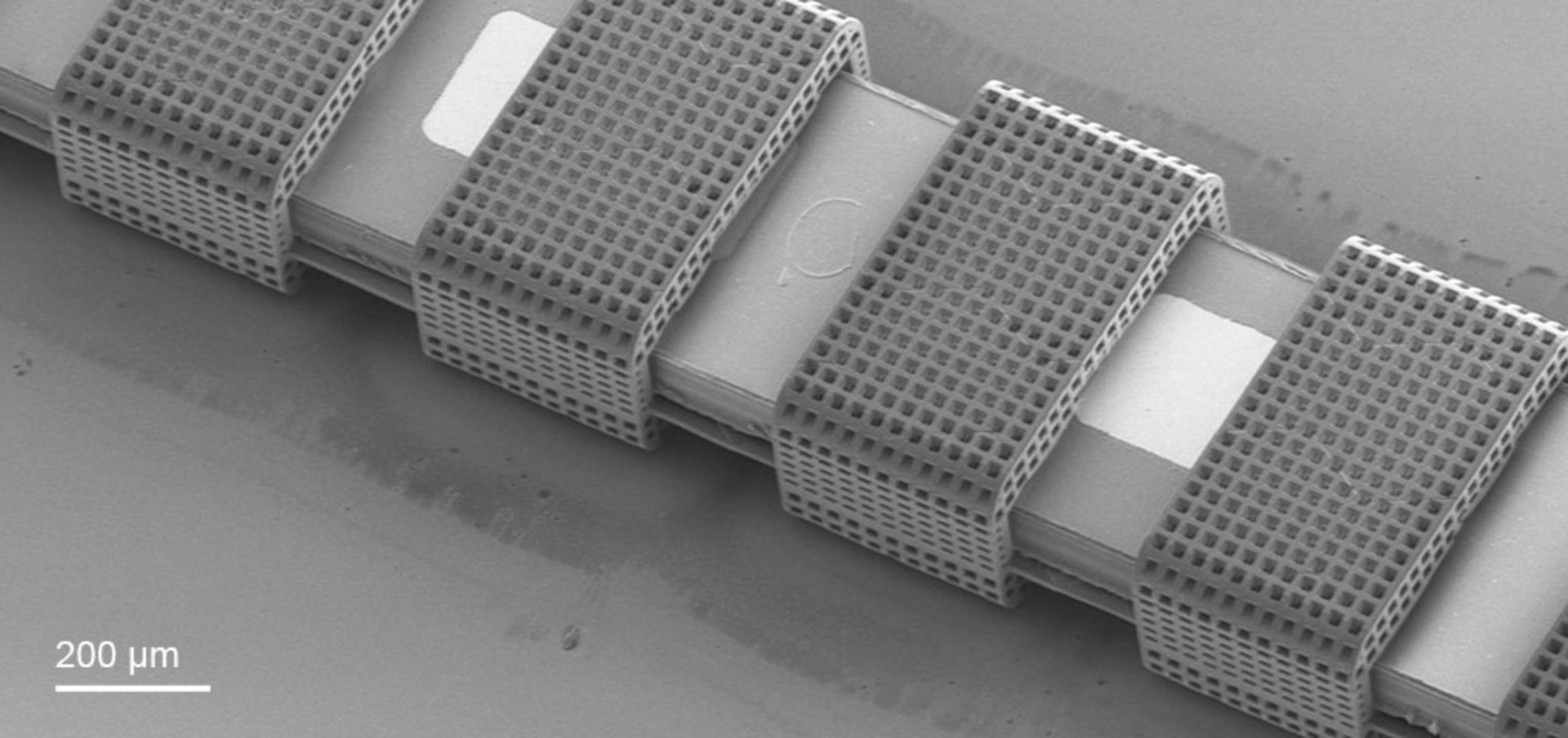 3D-gedruckte Mikrostrukturen auf einem flexiblen MEMS-Elektrodenarray.