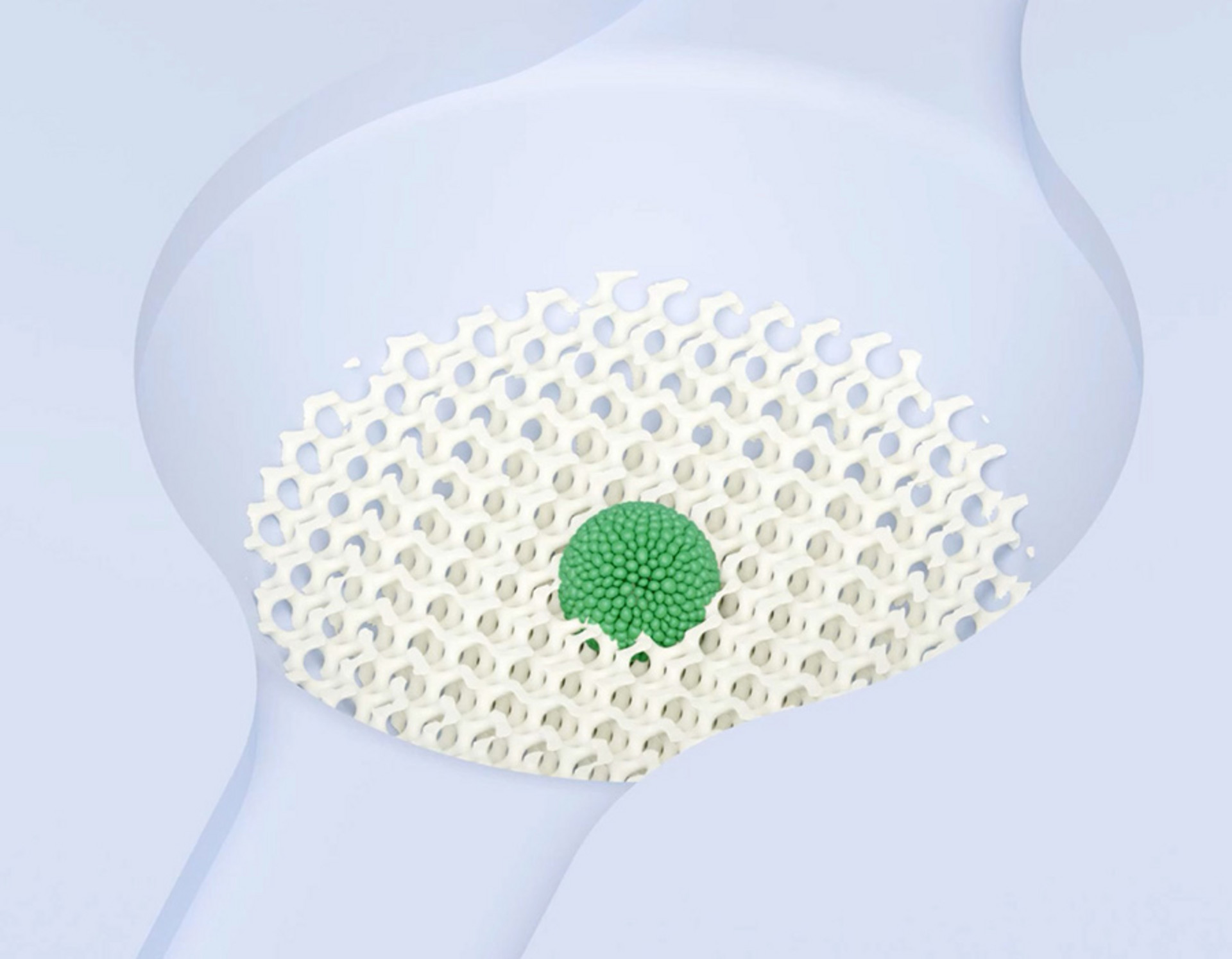 3D scaffolds inside a microfluidic chip for culturing organoids manufactured with high-resolution 3D bioprinter Quantum X bio.