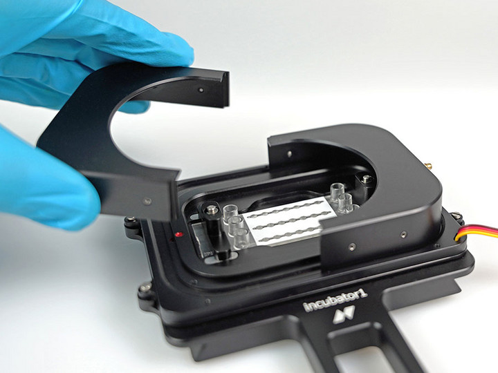 Bioprinting chamber with ibidi chip
