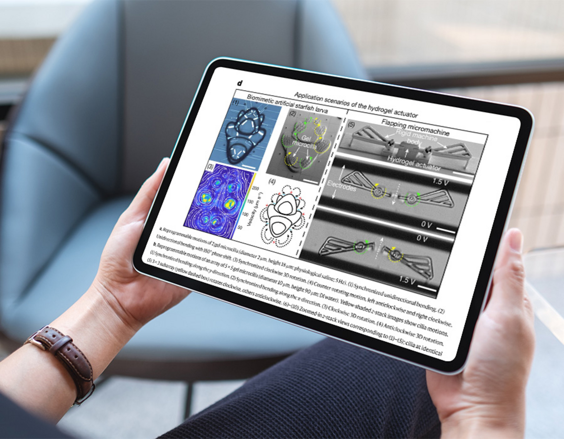 Publication on Laptop