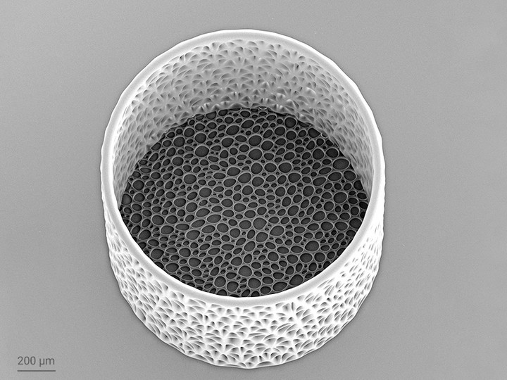 由Nanoscribe IPX-Q光刻胶打印的有机网格：Quantum X bio能够制造具有微米特征的毫米级零件，例如图示薄膜 