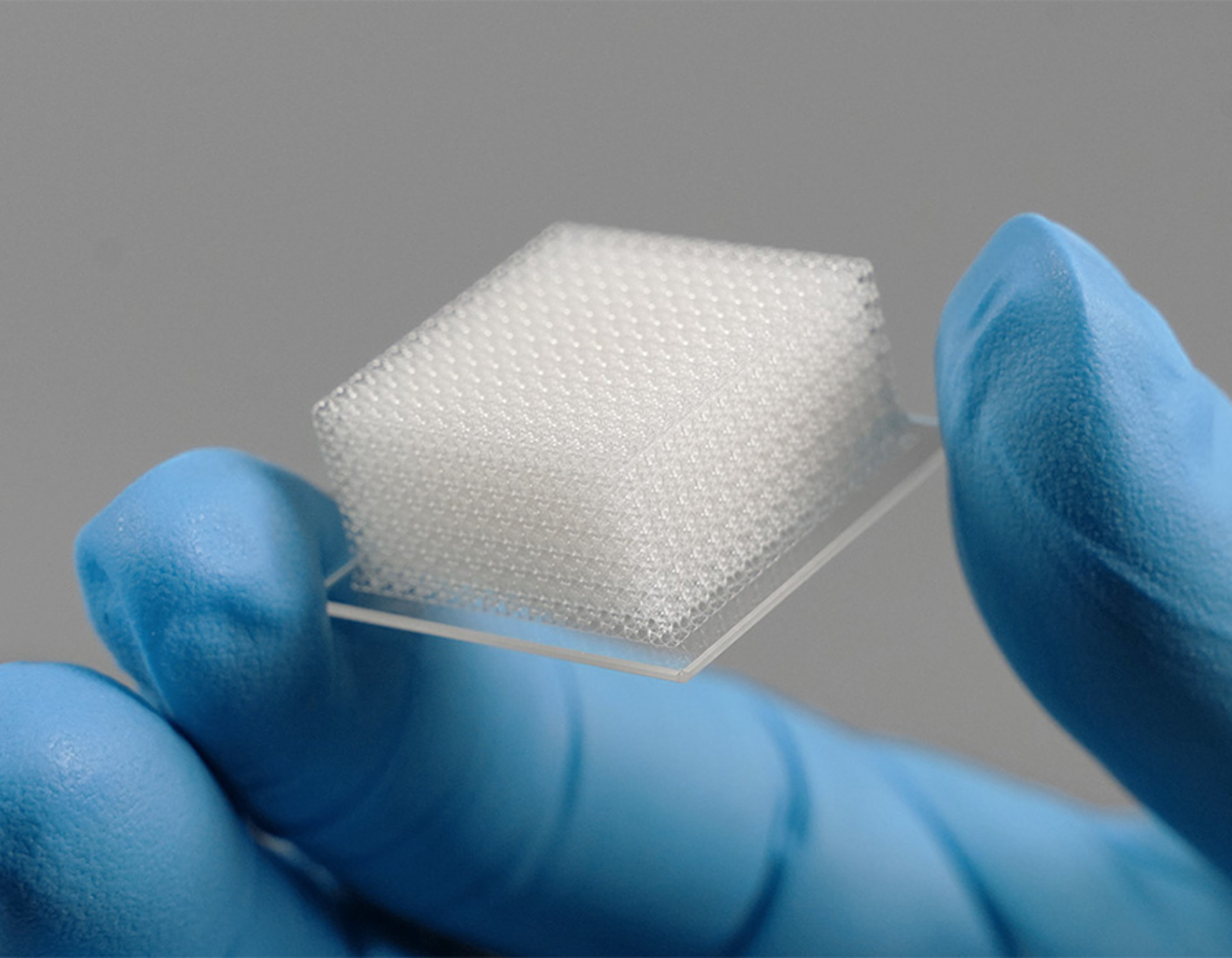 3D printed cell scaffold matrix