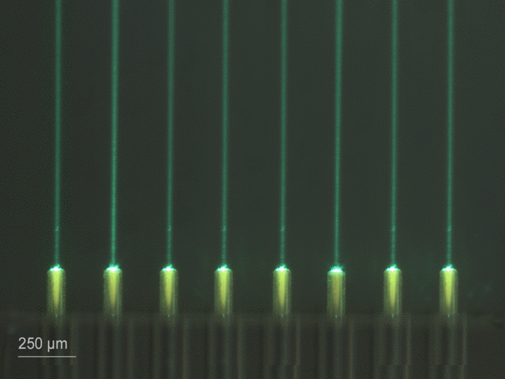 Rendering eines Faserarrays mit Linsen, die mit einem mit Linsen bestückten Chip gekoppelt sind. Dazu im Vergleich die mikroskopische Aufnahme eines 3D-gedruckten Faserarrays mit Linsen. 