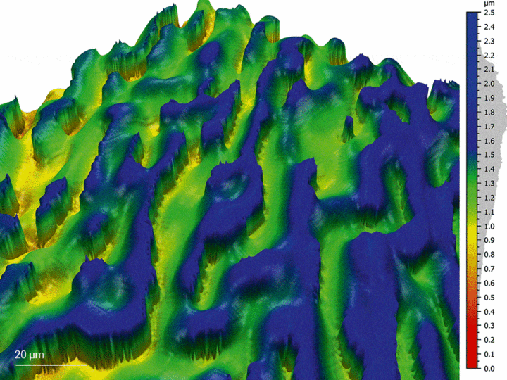 Confocal microscope and SEM image of a quasi-continuous DOE structure with up to 4096 gray levels
