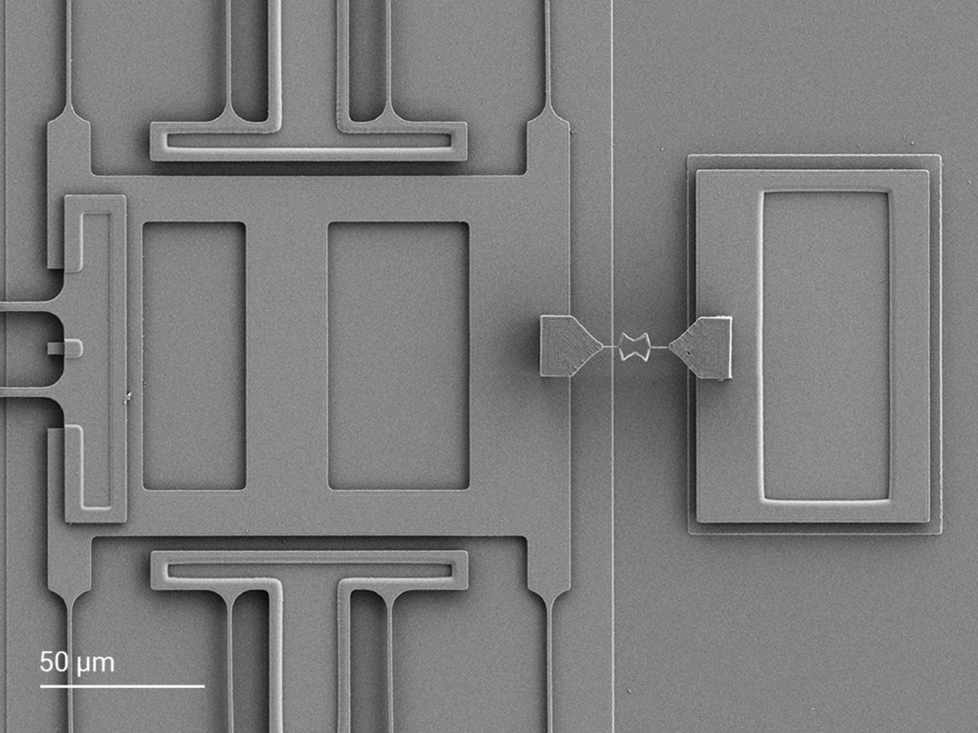 Eine Fliegen-ähnliche Auxetic-Struktur, 3D-gedruckt auf einem MEMS-Aktor