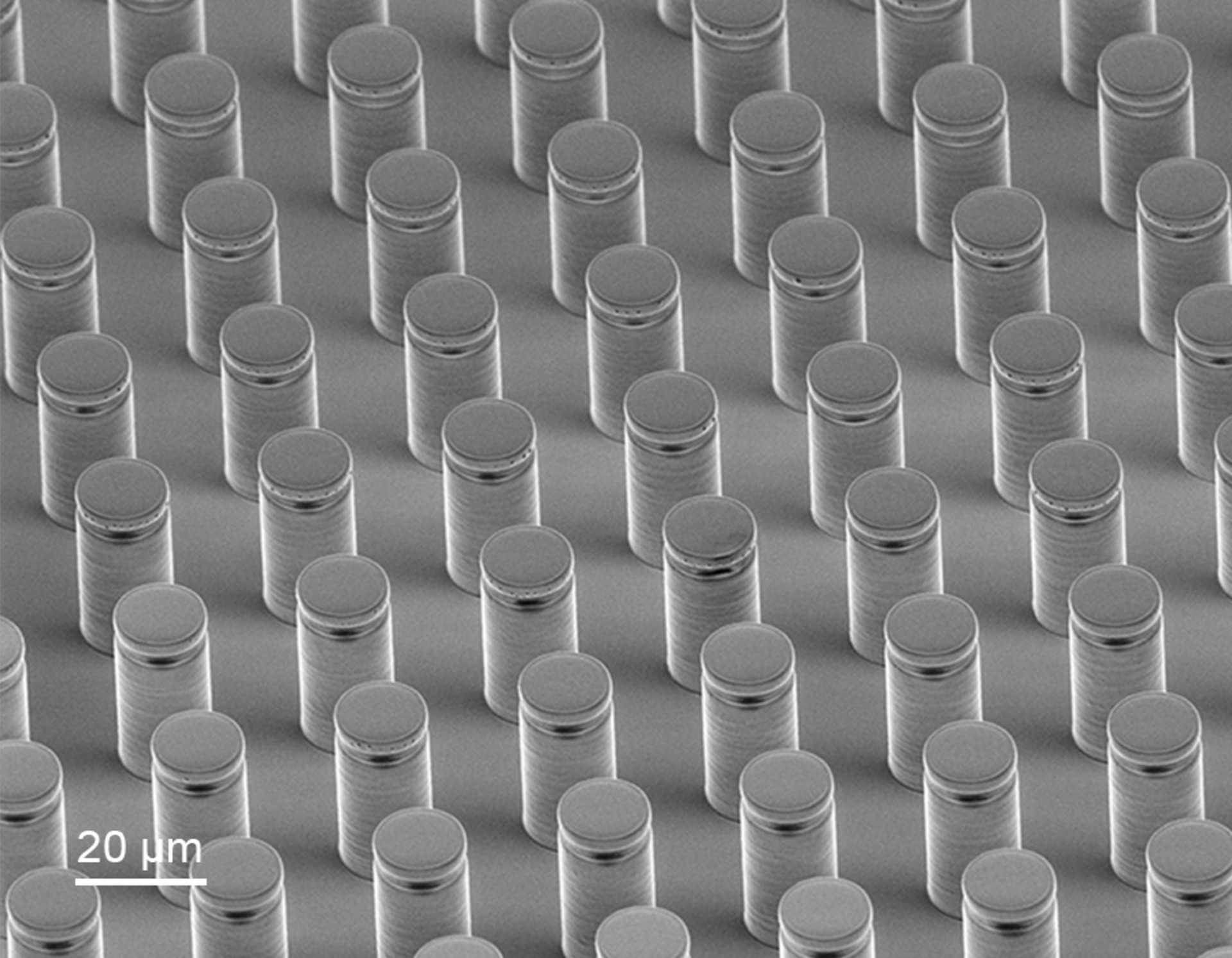 bioinspired 3D printed adhesive microstructures
