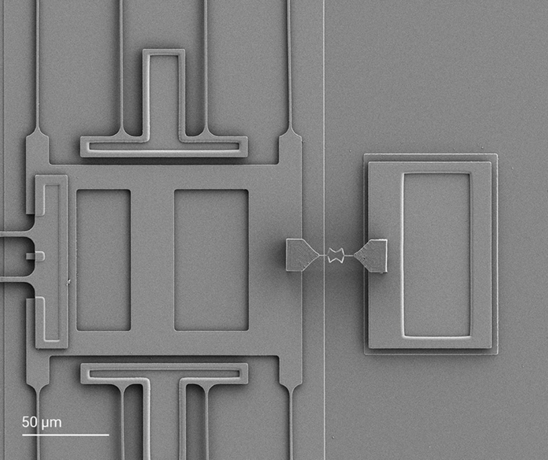 Bowtie-like auxetic structure 3D printed on a MEMS actuator.