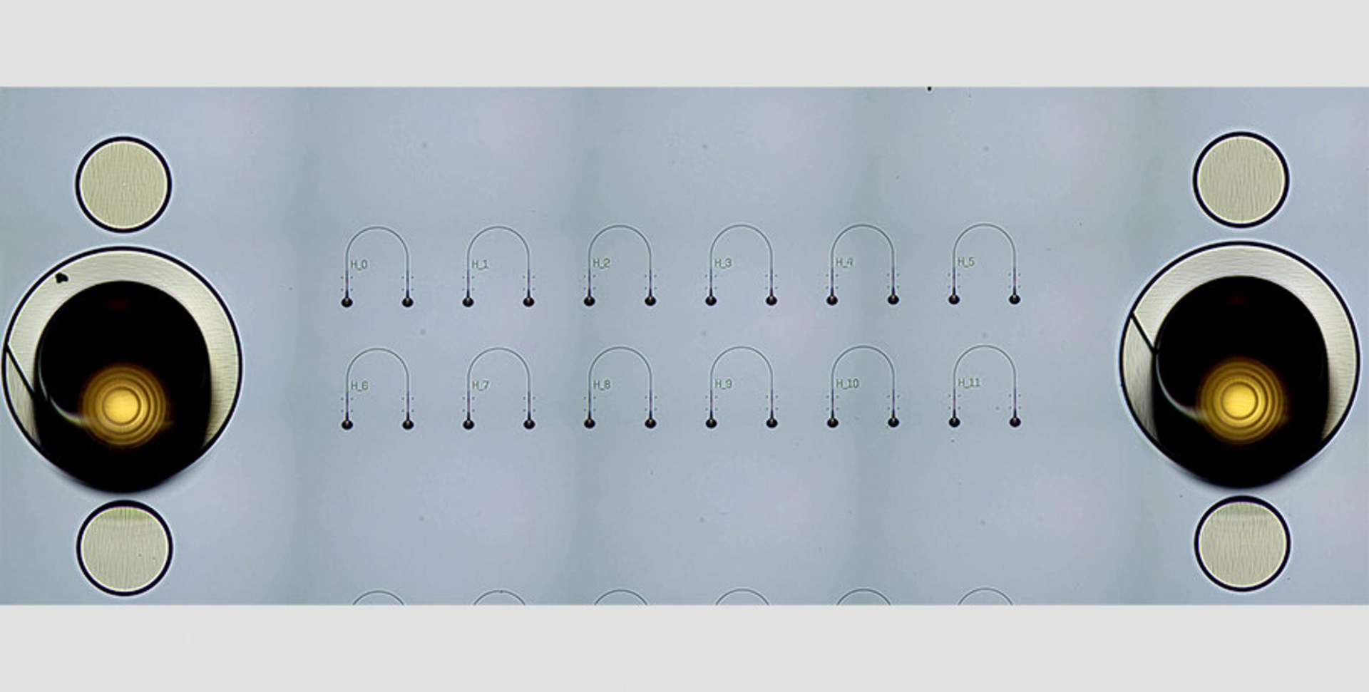 Microscope image of a silicon nitride PIC coupled via focusing TIR micro-optics