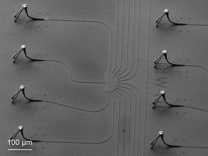 REM-Aufnahme eines Freiform-3D-Faser-Chip-Kopplers, der mit dem Photonic Professional GT-System von Nanoscribe gedruckt und mit einem Siliziumnitrid-Wellenleiter verbunden wurde