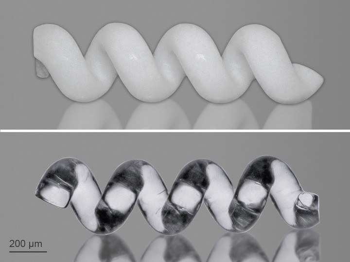 Grünling einer 3D-gedruckten Spirale (links) und das finale Glasteil nach dem Sinterverfahren (rechts).