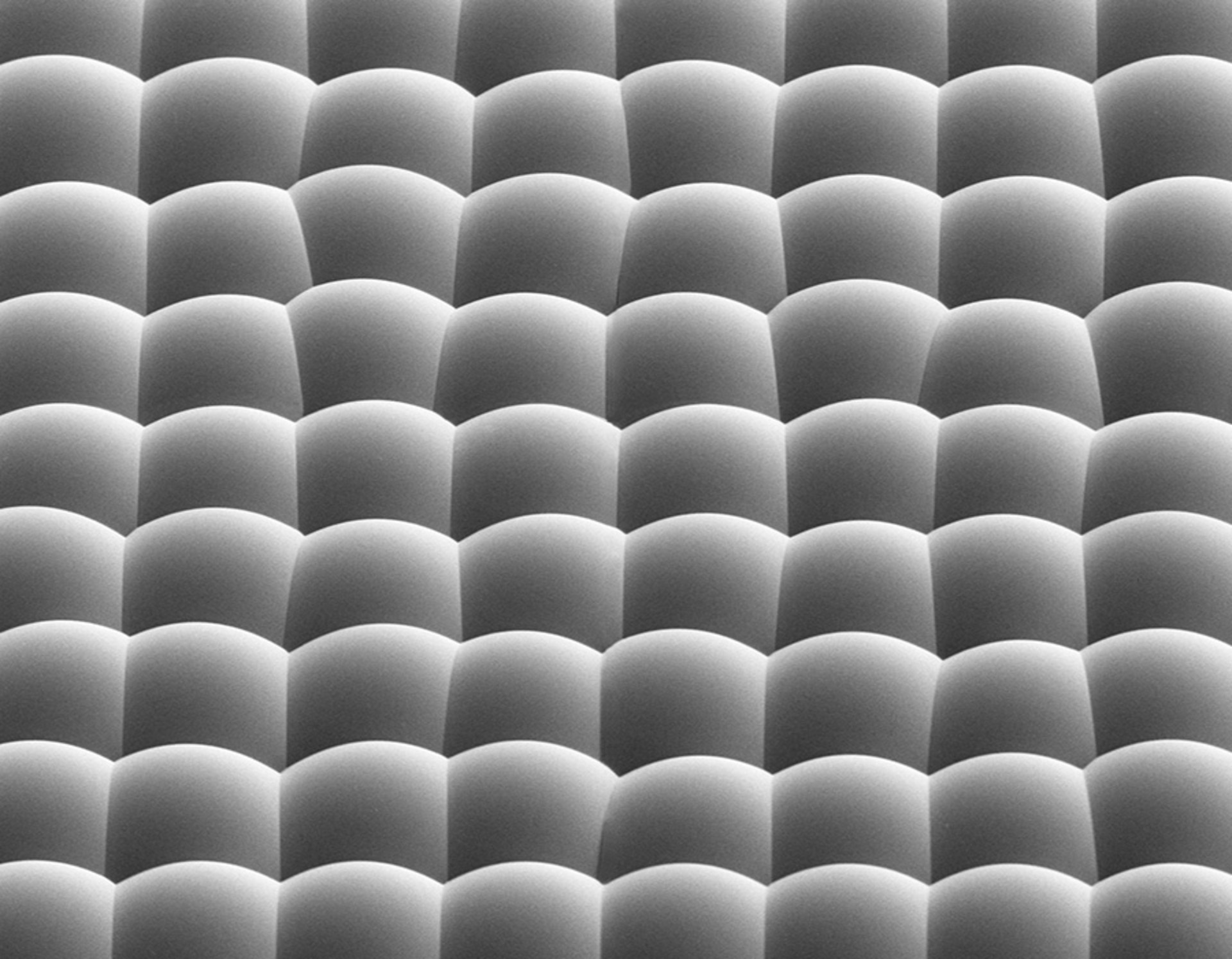 Densely packed microoptics in a random microlens array for diffuser applications