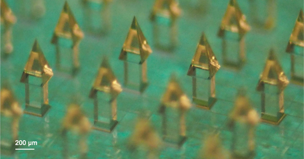 Microarray Needle Nanoscribe: Microneedle arrays for vaccination through the skin