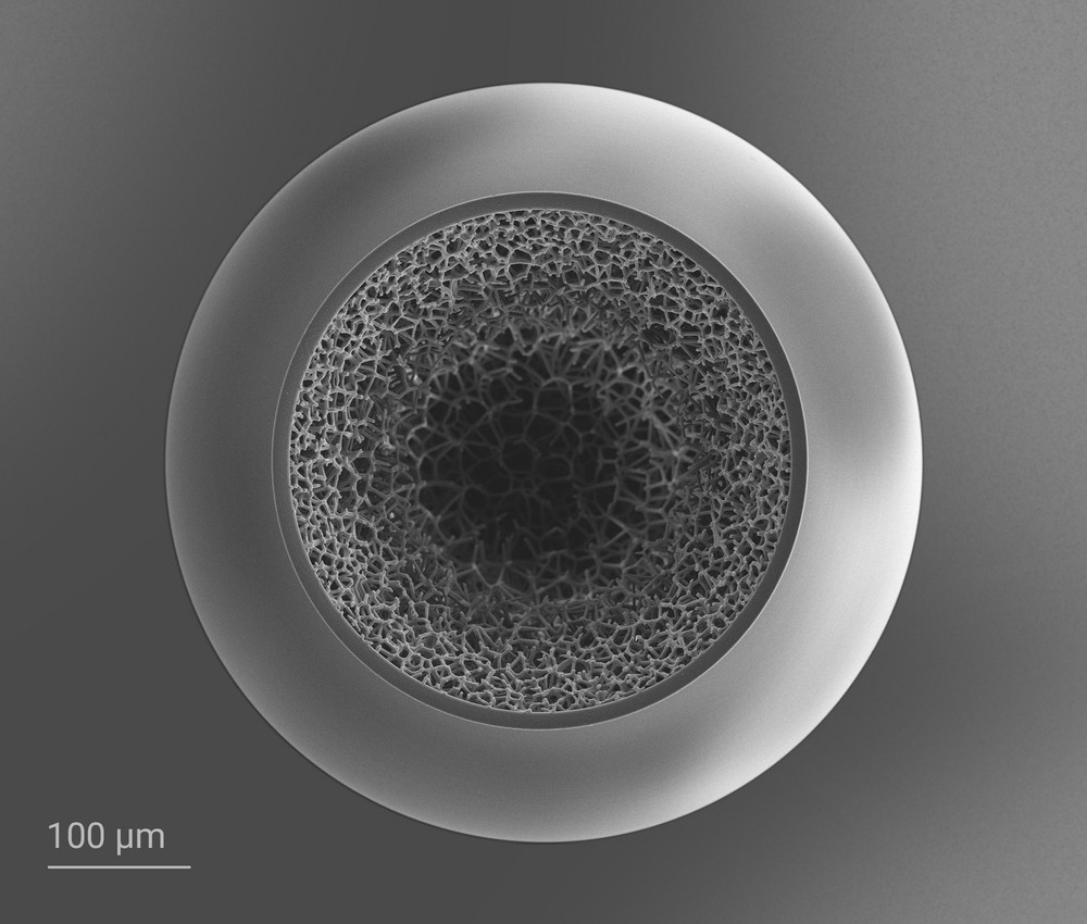 Voronoi gradient density foam enclosed by a solid outer shell with a diameter of 550 µm