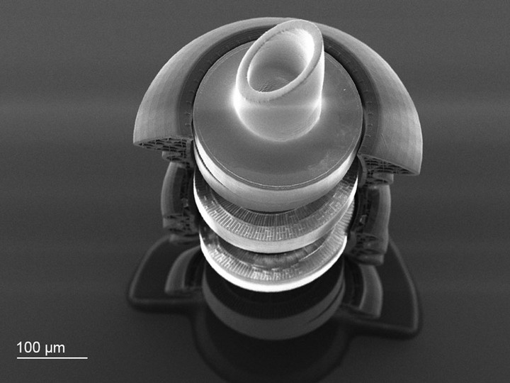 Scanning electron micrograph displaying a cross-section of a glaucoma microvalve.