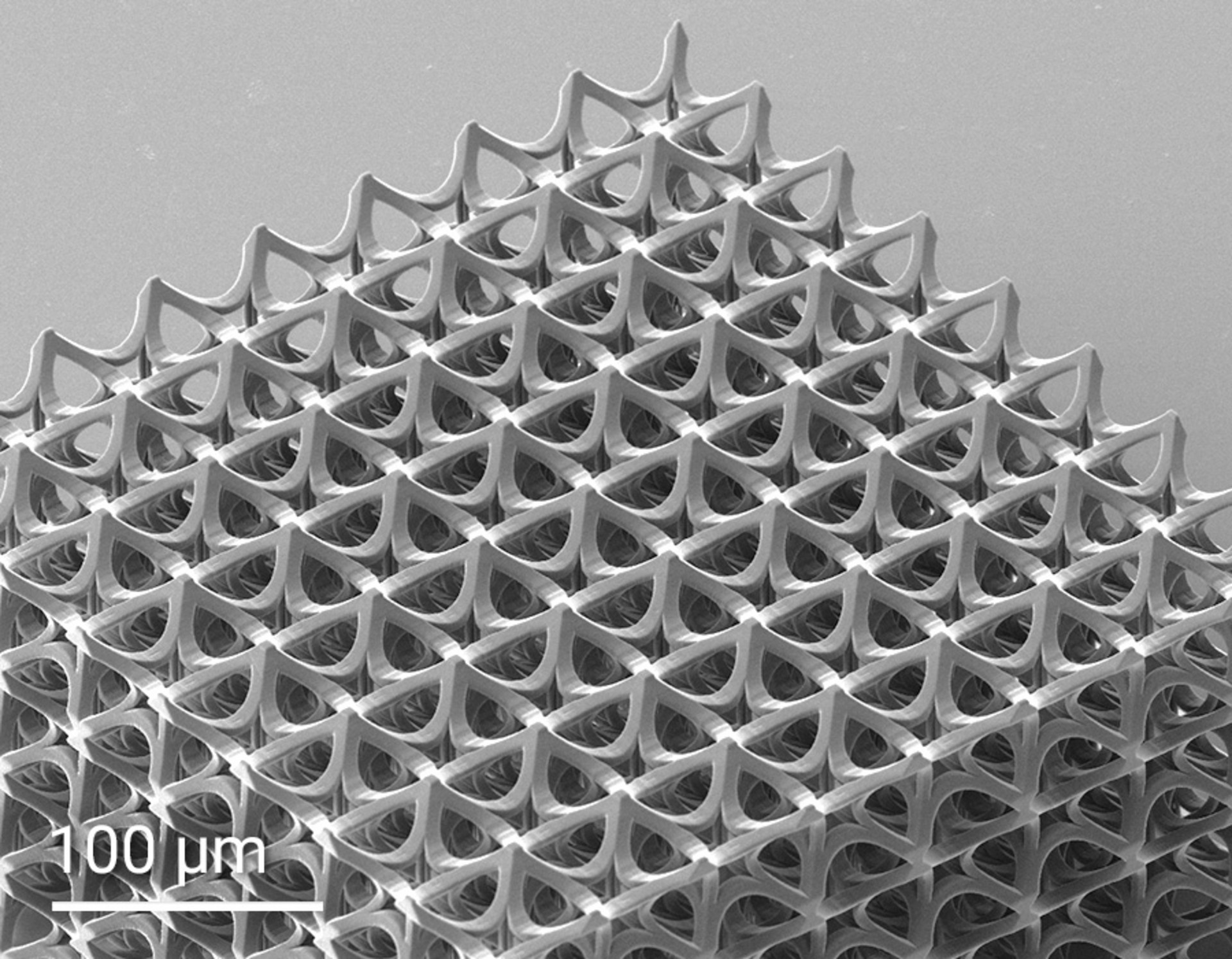 SEM image of a 3D printed scaffold mesh cube on microscale
