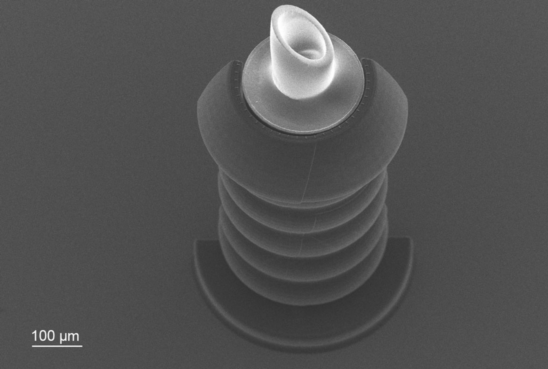Scanning electron micrograph of a glaucoma microvalve