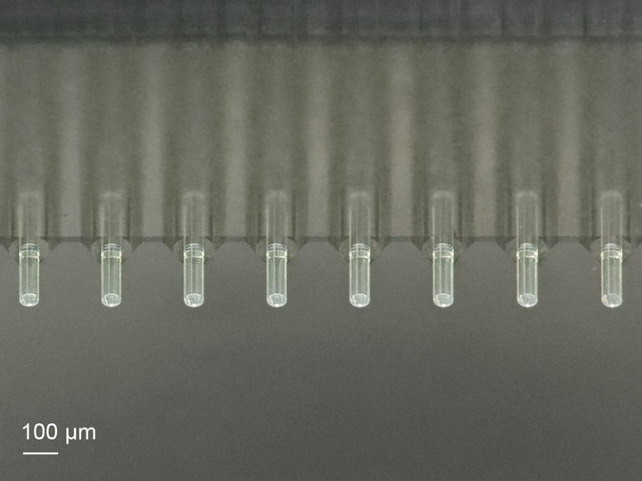 Beam-expanding microlenses on fiber arrays. The results were achieved within the MiLiQuant project.