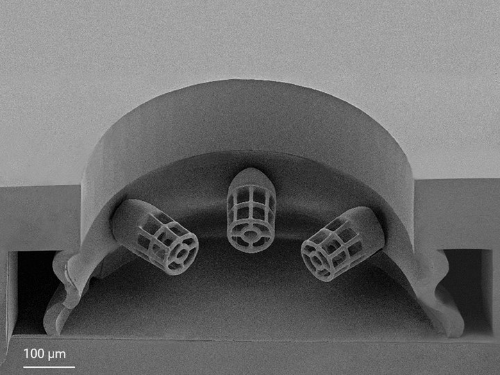 The SEM image shows the cross-section of the circular seeding well with a surrounding microfluidic channel and three tailor-made microcages that function as cell adhesion sites for the 3D freestanding cardiac microtissue