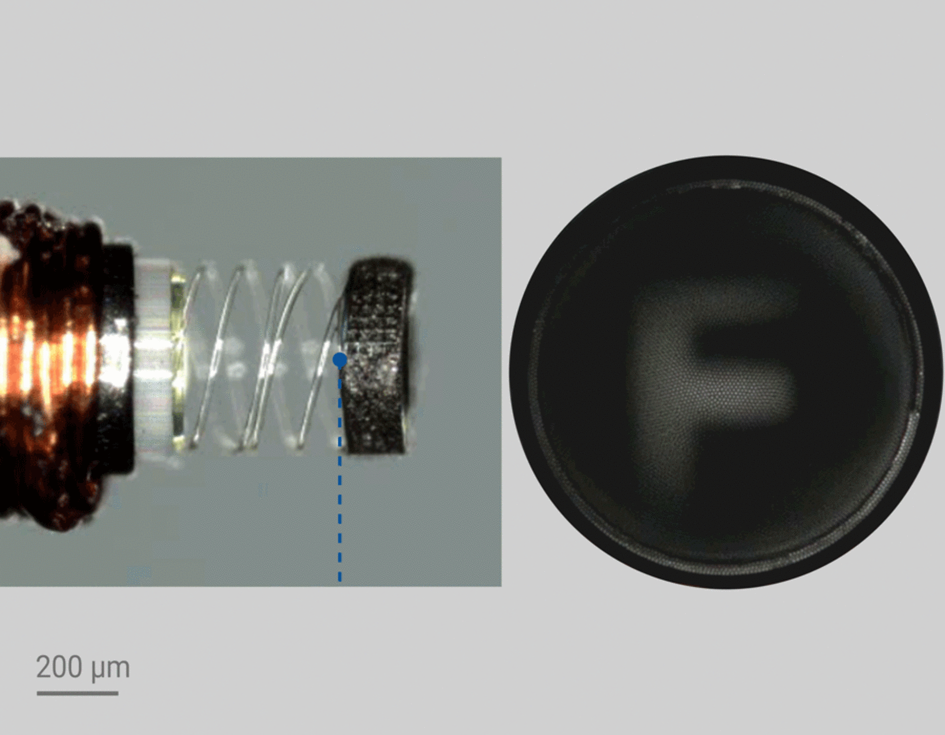 3D printed bowtie-like auxetic structure