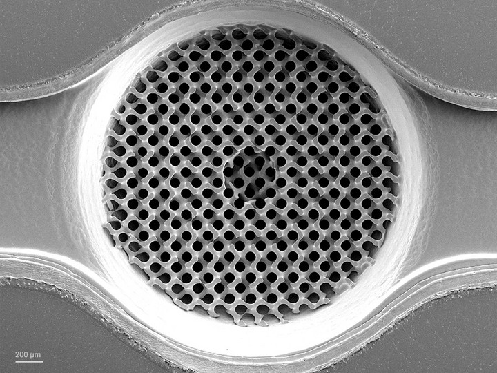 Top view of a porous 3D scaffold printed inside a well on a microfluidic chip from ibidi