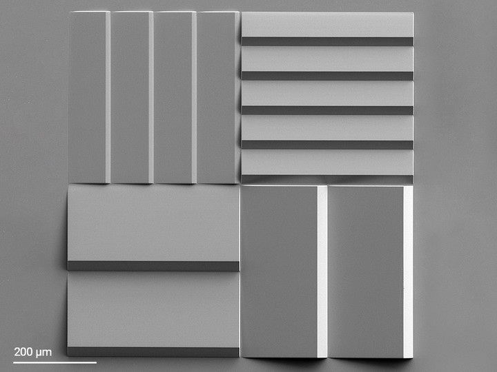 Microwedges printed using Two-Photon Grayscale Lithography