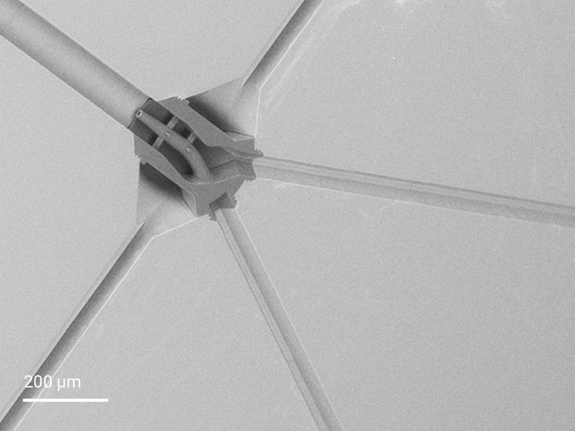 Eingebettete Spinndüse, direkt in ein mikrofluidisches Kanalsystem 3D-gedruckt