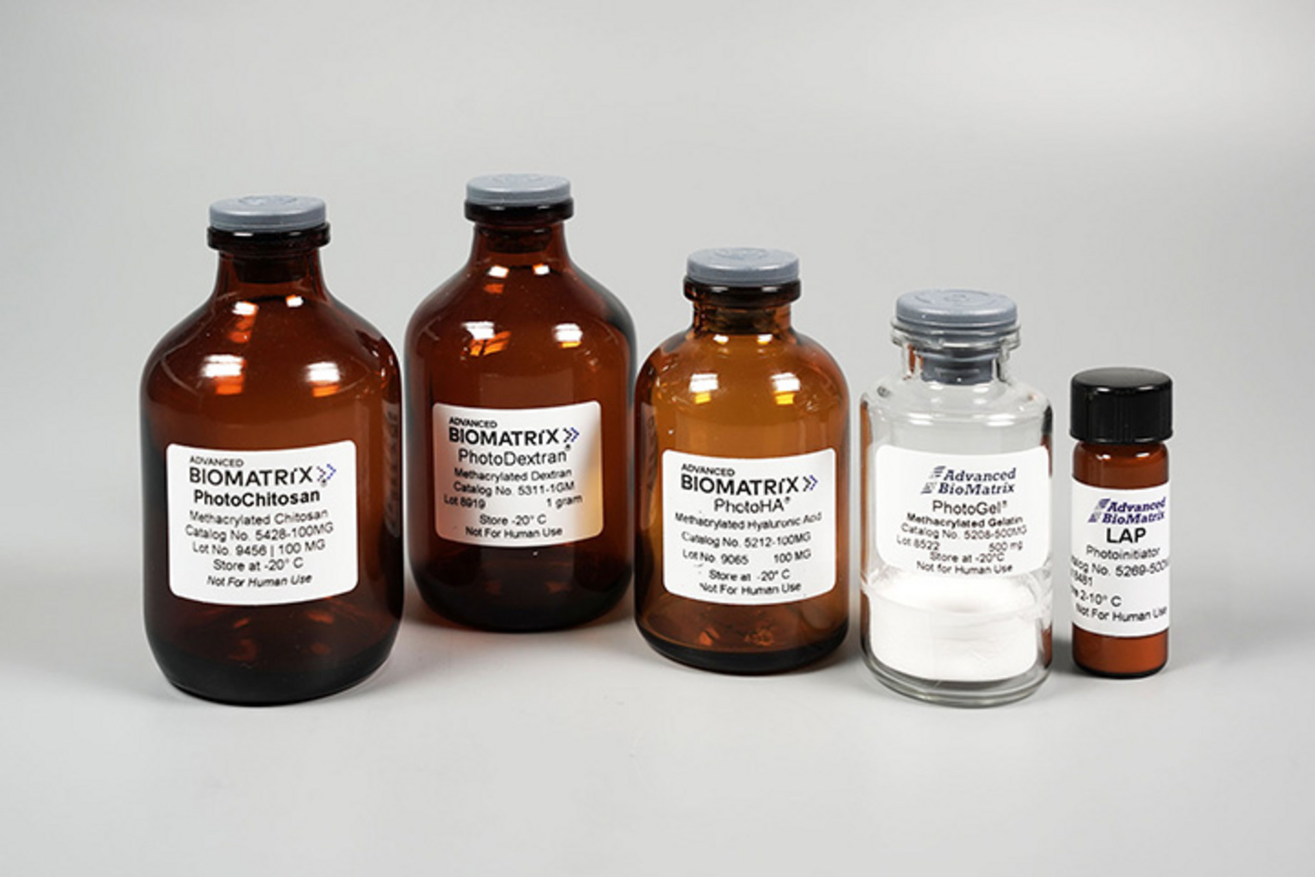 Explore Advanced BioMatrix bioresins for 2PP-based 3D bioprinting