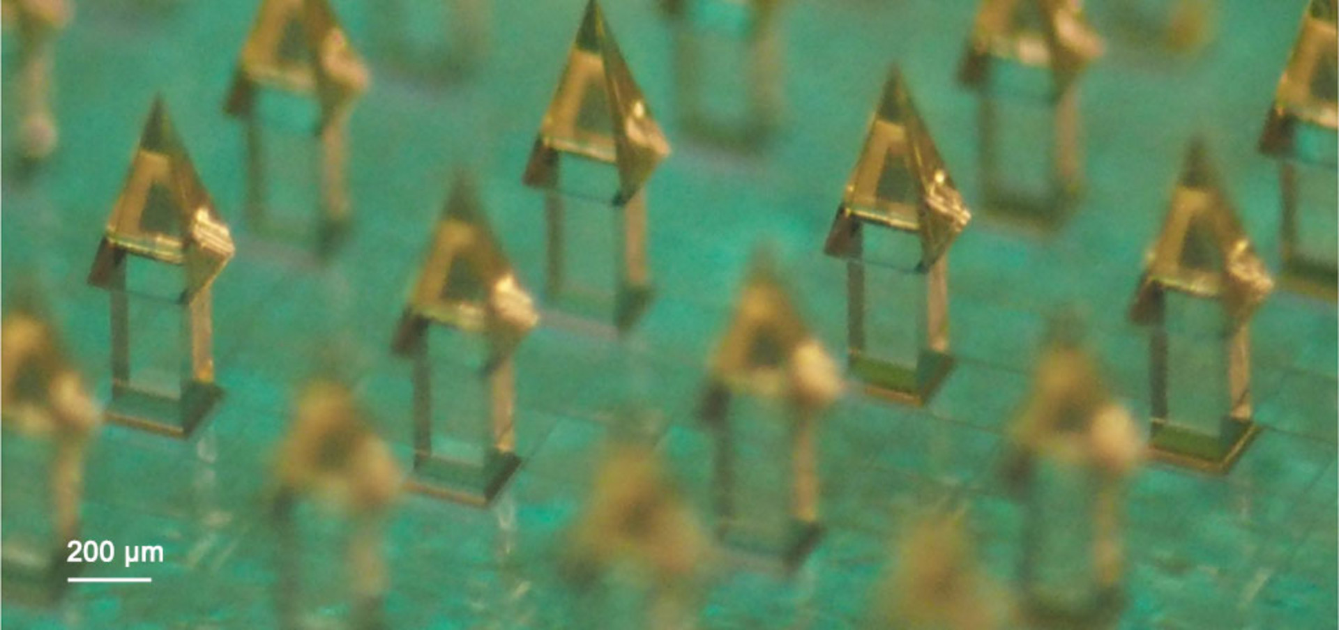 3D-printed prototype of an array of microneedles