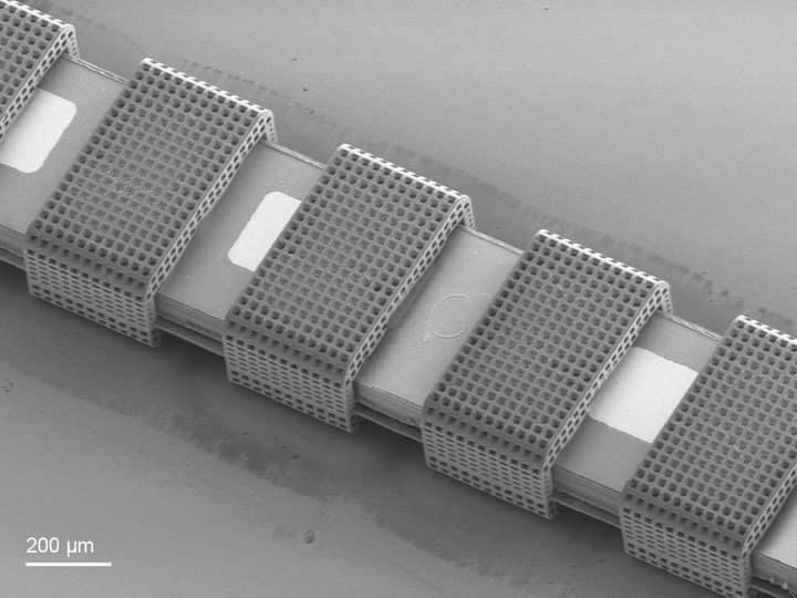 3D printed-microscaffolds mounted onto a 2D MEMS flexible electrode array