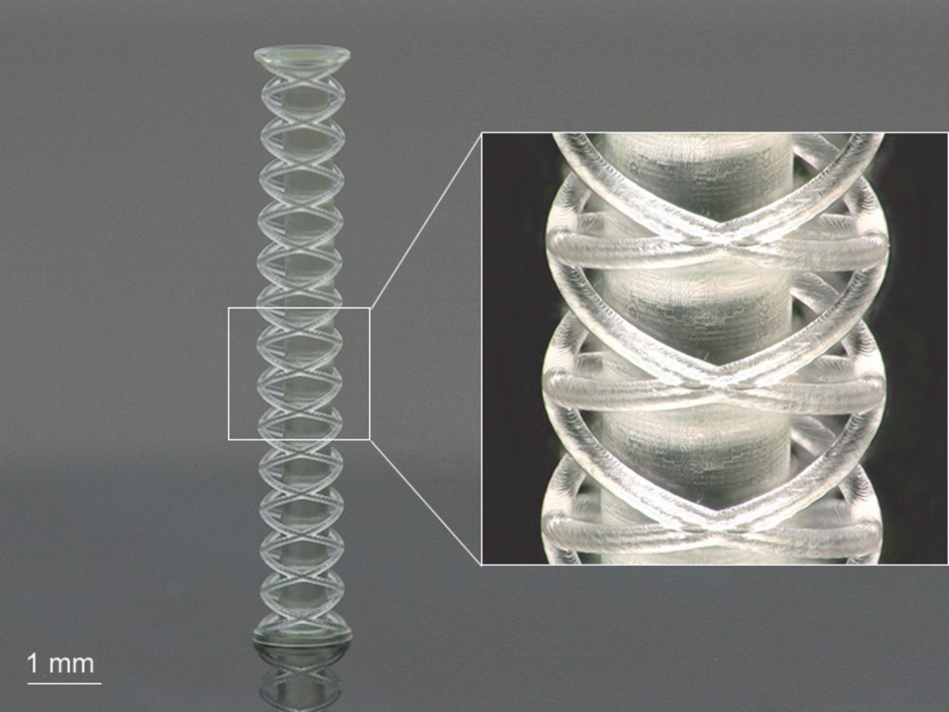 3D-printed double helix fabricated with Nanoscribe's 3D Microfabrication tool.