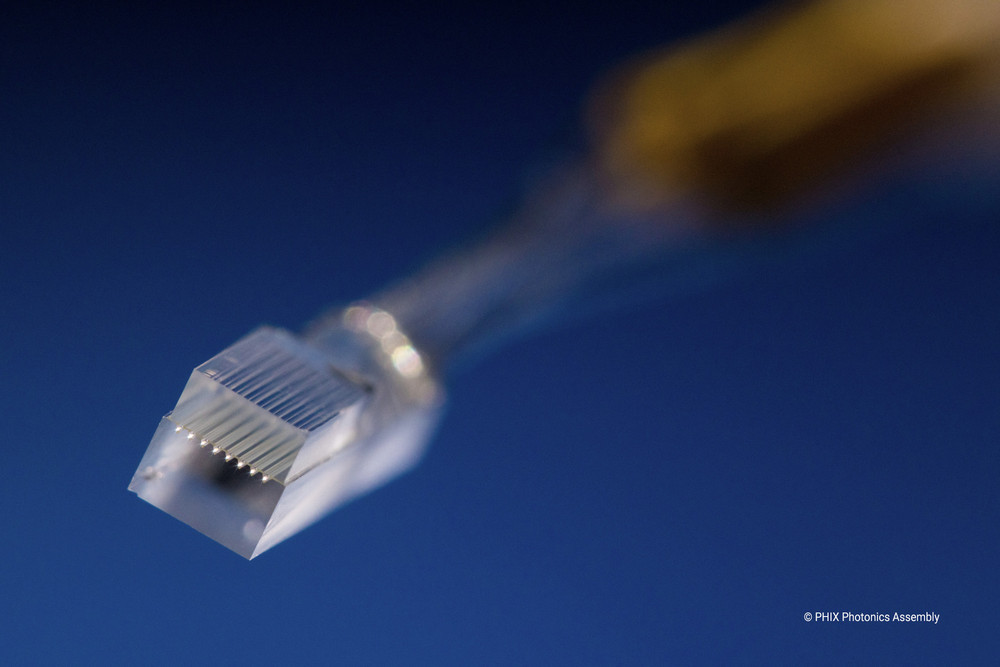 lensed fiber array (LFA)