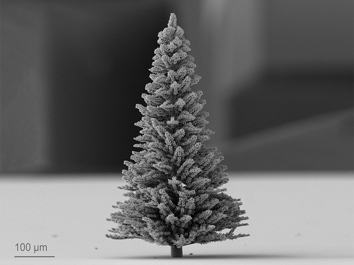 A detailed microscale fir tree