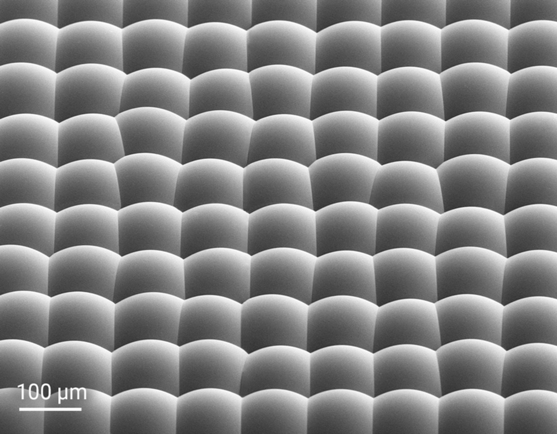 Random microlens array MLA by 2GL