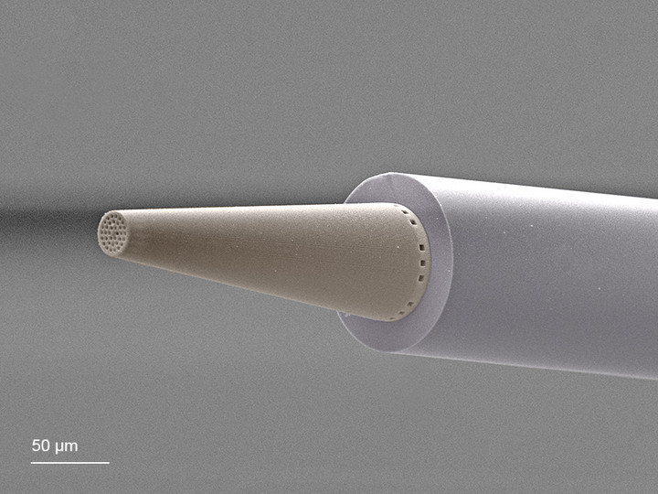 SEM of a 3D-printed microstructured optical fiber taper on a single-mode fiber. The taper converts the optical mode field to match with a photonic chip