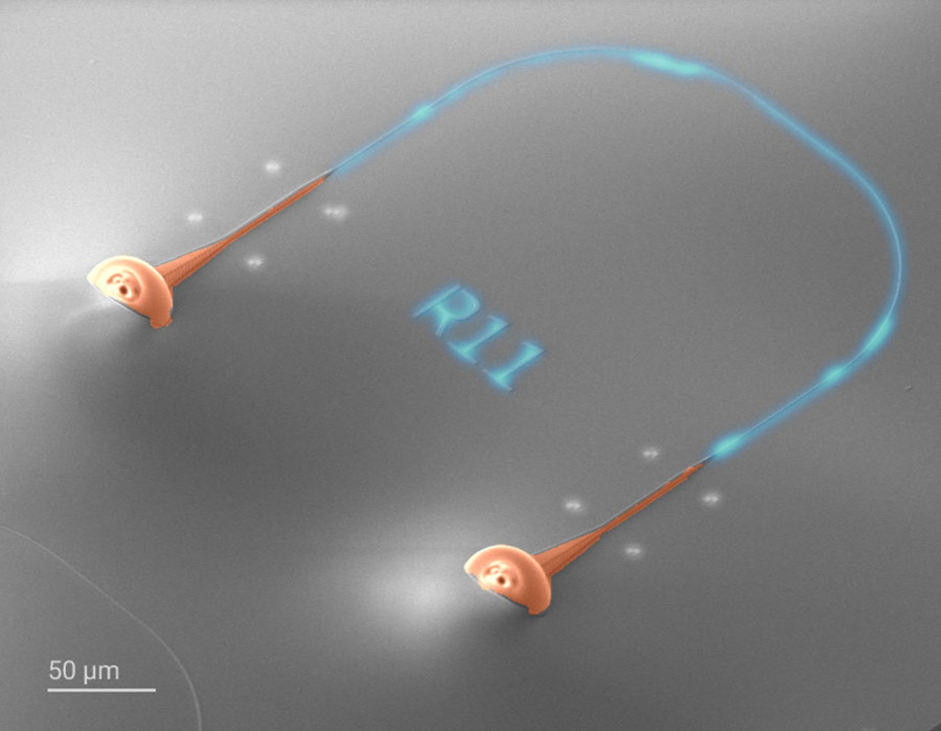 SEM image of a silicon nitride waveguide backloop with printed TIR micro-optics
